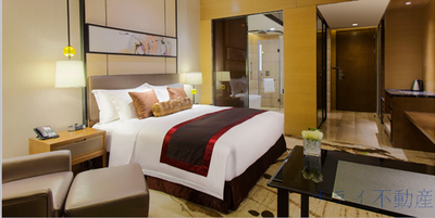 ブラウンプラザ天津梅江南ホテル